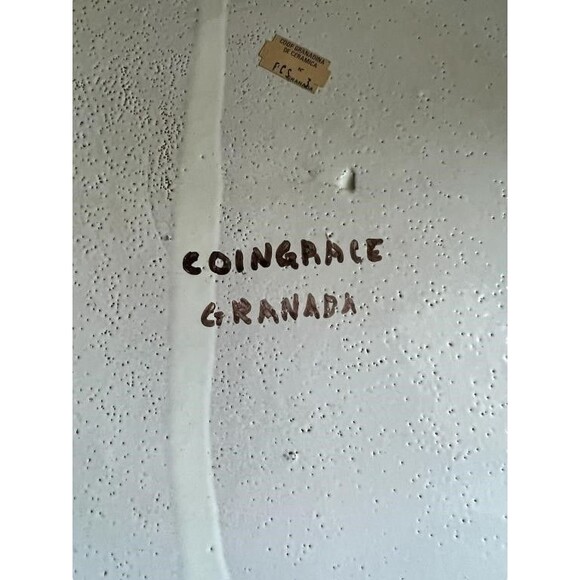 Vintage Coingrace Granada Spain Art Pottery Wall Plate 10" Pheasant Floral Rim - Picture 5 of 7